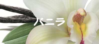 バニラ
