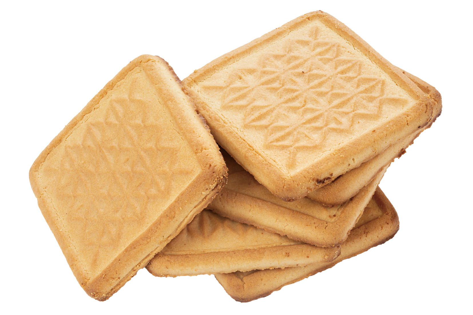 ソルティビスケット